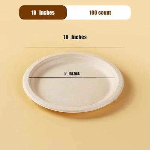 10 Inches Disposable Plate, 10" Biodegradable Paper Plates, Pack of 120
