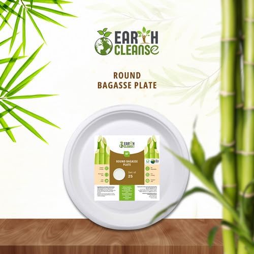 Bagasse 10-Inch Round Plates, Pack of 25
