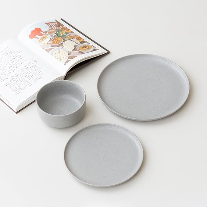 WENSHUO Dinner Plates Set of 6, Chip and Scratch Resistant (Sandstone Gray, 10.5 Inch)