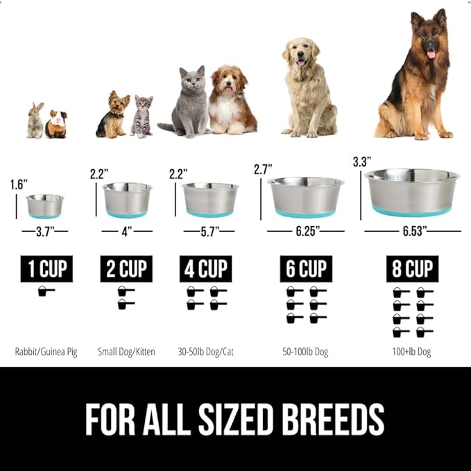 GORILLA GRIP Dog Bowls, Holds 2 Cups Each (16 fl oz), Heavy Duty Stainless Steel Food and Water Bowl for Feeding Dogs and Cats, Dishwasher Safe, Rust Resistant BPA Free Rubber Base, Set of 2 Turquoise