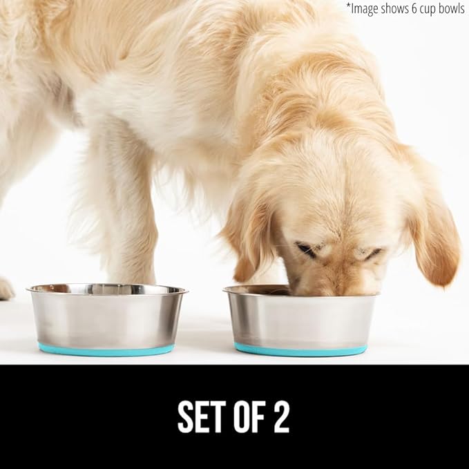 GORILLA GRIP Dog Bowls, Holds 1 Cup Each (8 fl oz), Heavy Duty Stainless Steel Food and Water Bowl for Feeding Dogs and Cats, Dishwasher Safe, Rust Resistant, BPA Free Rubber Base, Set of 2 Turquoise