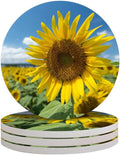 4-Piece Round Absorbent Ceramic Coaster Set with Cork Base – Durable Drink Coasters for Mugs, Cups, and Tabletop Protection (Sunflower)