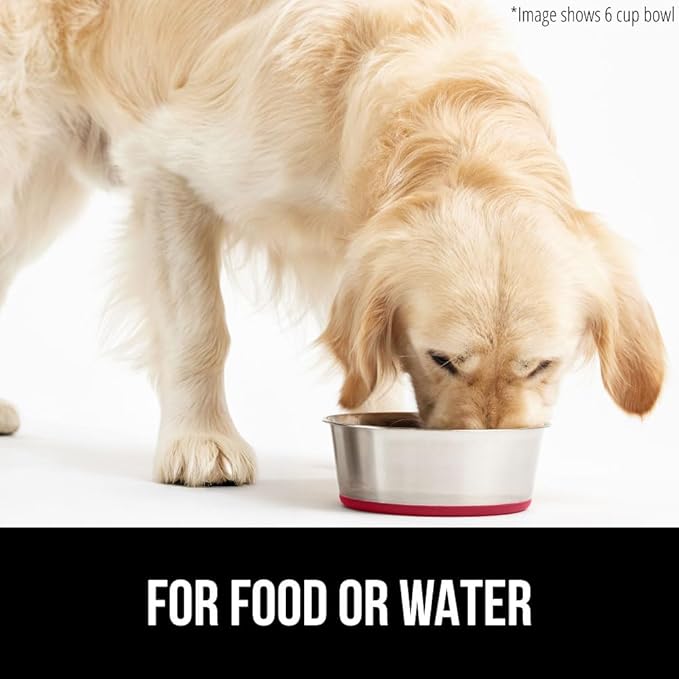 GORILLA GRIP Set of 2 Dog Bowls, Holds 6 Cups (48 fl oz), Heavy Duty Metal Food and Water Bowl for Feeding Dogs and Cats, Dishwasher Safe, Rust Resistant Stainless Steel, BPA Free Rubber Base, Red