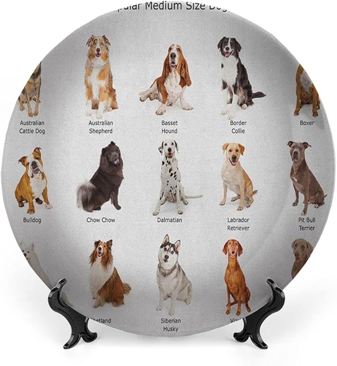 Ceramic Plates, Dog Decorative Ceramic Plates, AGroup of Different Puppy Breeds Family Type Species, 10 Inch, Household Plates Decorative, Multi