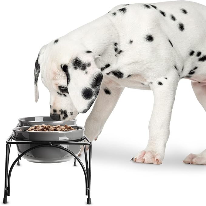 Y YHY Ceramic Raised Pet Bowls 24 oz Capacity 5.2” Height Sturdy Metal Stand, Grey