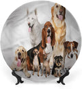 Ceramic Display Plate, Dog Lover Ceramic Hanging Decorative Plate, House Pet Photo Shoot, 8 Inch, Household Custom Ceramic Plate, Multicolor