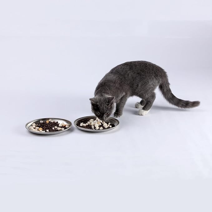 SHENGOCASE 4-Pack 7.3" Extra Wide Oval Shallow Cat Food Bowls Dish, Cute 304 Stainless Steel Anti Whisker Fatigue Plate,Whisker Friendly & Relief Plate for Big Cats (Without Mat)