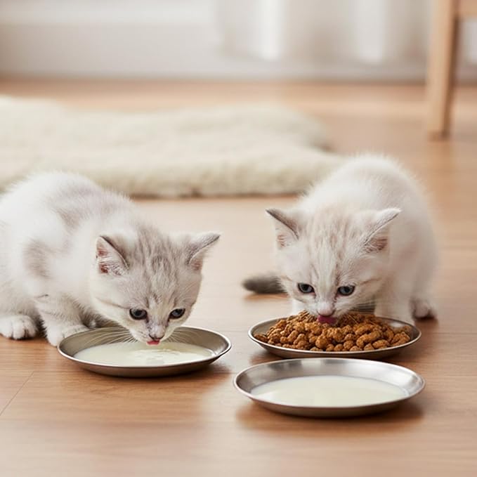 4Pcs Stainless Steel Cat Dishes for Food and Water, Flat Wide Shallow Cat Bowl, 5.51in Cats Food Plate for Kitten Puppy Small Dog Feeding