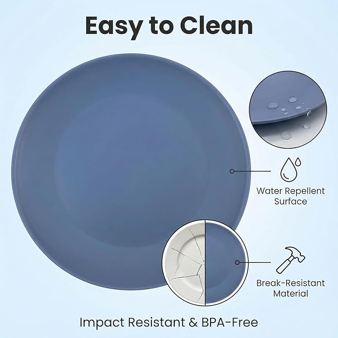 Plastic Dinner Plates Reusable, Unbreakable Salad Plates 10 inch set of 12, BPA Free Dishwasher & Microwave Safe Party Plate for Kids Kitchen Camper Outdoor (Grey Stone)