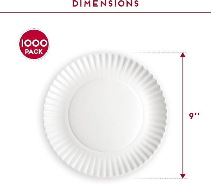 9-Inch Disposable Paper Plates - 1000 Count - Bulk Pack of Uncoated Paper Plates for Everyday Use - Dinnerware for Meals, Parties And Picnics