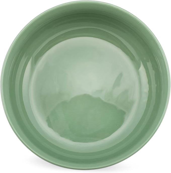 Elanze Designs Bistro Glossy Ceramic 8.5 inch Large Serving Bowls Set of 2 - Perfect for Multiple Everyday Uses: Pasta, Salad, Ramen, Soup, Popcorn, Noodles, Cereal and Mixing Bowls, Sage Green