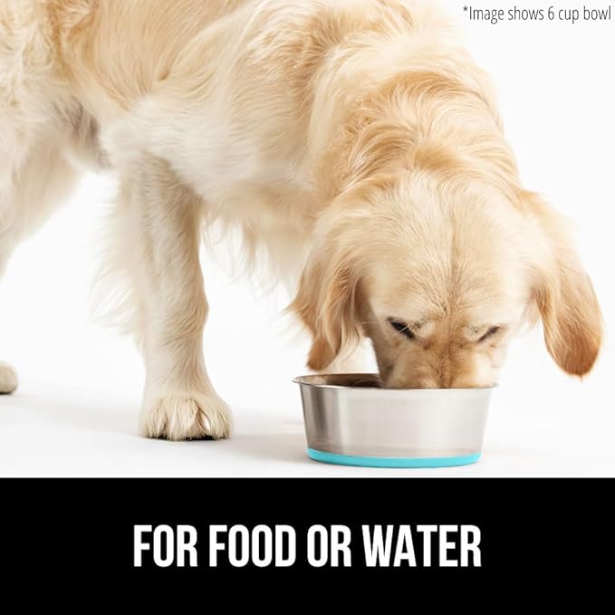 GORILLA GRIP Set of 2 Dog Bowls, Holds 8 Cups (64 fl oz), Heavy Duty Metal Food and Water Bowl for Feeding Dogs and Cats, Dishwasher Safe Rust Resistant Stainless Steel, BPA Free Rubber Base Turquoise