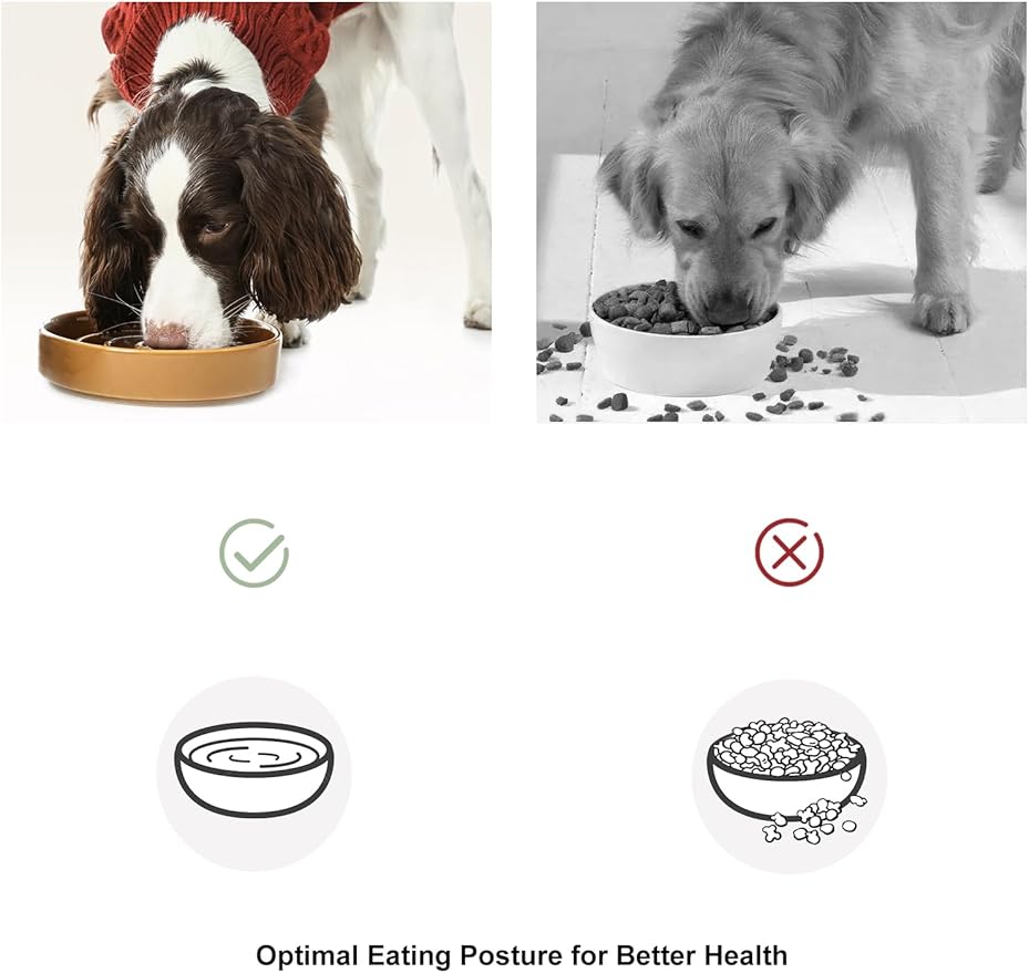 Ceramic Maze Dog Slow Feeder with Non-Slip Silicone Rim – Heavy-Duty Stoneware Bowl with Puzzle Pattern for Bloating & Obesity Prevention (Apricot-S)