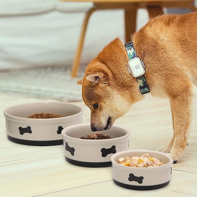 Sweejar Ceramic Dog Bowls with Bone Pattern, Dog Food Dish for Small Dogs, Porcelain Pet Bowl for Water 16 Fl Oz (Beige)