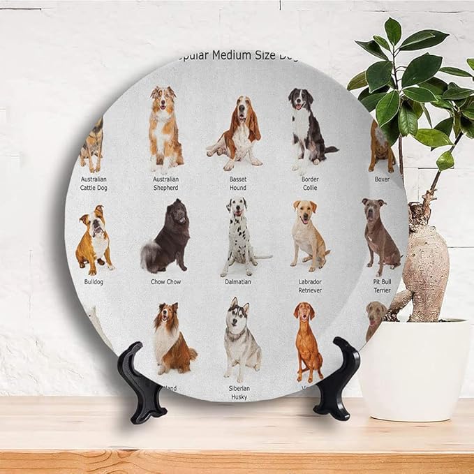 Ceramic Plates, Dog Decorative Ceramic Plates, AGroup of Different Puppy Breeds Family Type Species, 10 Inch, Household Plates Decorative, Multi