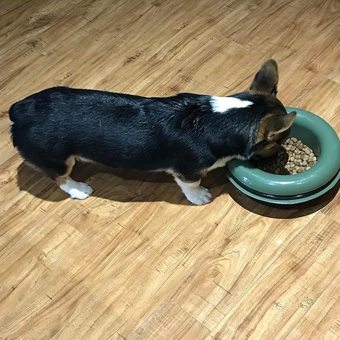 The Mote - ant Proof Dog Bowl, Innovative Waterless System, Durable & Maintenance-Free, Simple Design Effectively Keeps Ants Out, for Dogs, Cats, and More (Tan)