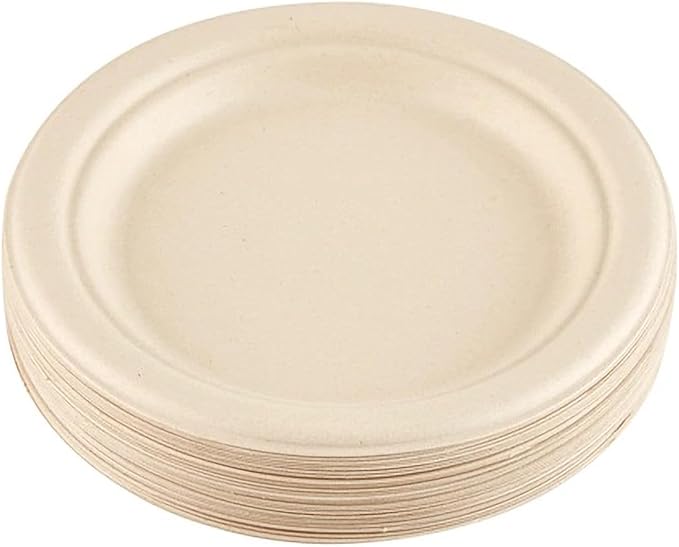 10 Inches Disposable Plate, 10" Biodegradable Paper Plates, Pack of 120