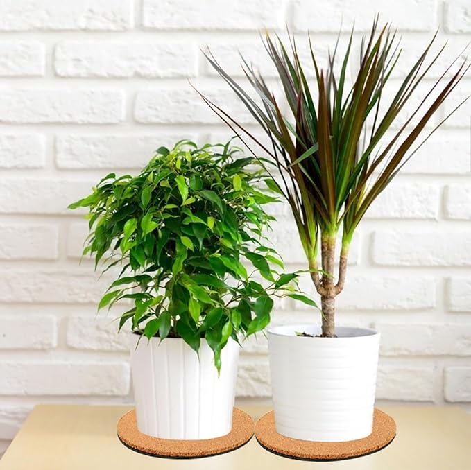 3 Pieces Cork Plant Coasters, 10 Inch Cork Plant Mats, Cork Coaster for Planters, Large Plant Coasters for House Plants Indoors (Nude & Black)