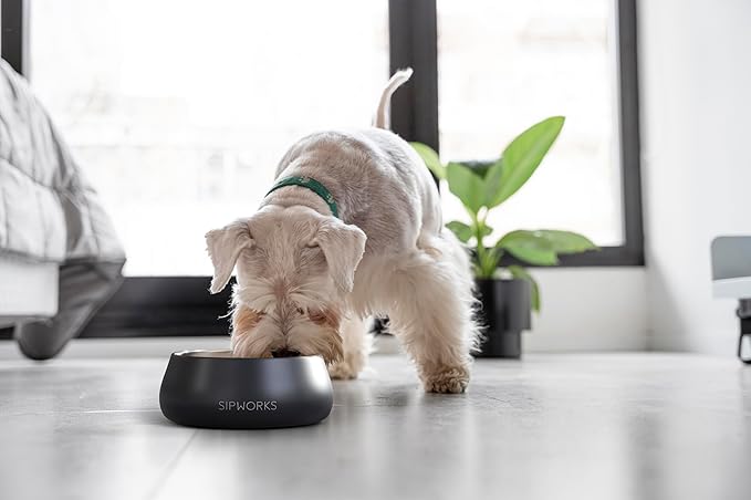 Sipworks Stainless Steel Dog Bowl – 32oz Weighted Metal Food and Water Bowls for Dogs and Cats with Non-Slip Base - Pet Bowls for All Breeds Sizes for Travel & Outdoor Play | Heather