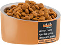 Master Pet Supply Stainless Steel Slanted Dog Cat Food Bowl - 8 oz Heavy Duty - Mango Tango, Double Wall Insulated, Non-Slip Elevated Bowl for French Bulldogs Pugs Cats, Anti Rust Dishwasher Safe