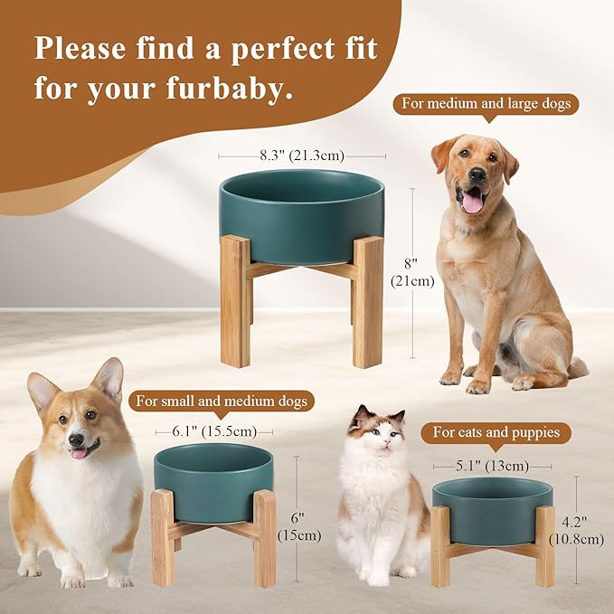 Elevated Ceramic Cat Bowl - Cat Food Bowl with Bamboo Stand - Raised Dog Dish for Puppies - Anti Vomiting, Stress Free - 13.5 oz / 400 ml - Grey
