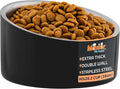 Master Pet Supply Stainless Steel Slanted Dog Cat Food Bowl - 16 oz Heavy Duty - Black Velvet, Double Wall Insulated, Non-Slip Elevated Bowl for French Bulldogs Pugs Cats, Anti Rust Dishwasher Safe