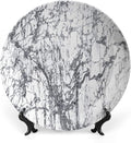 Decorative Plates, Abstract Print Ornament, Murky Marble Rock Motifs Dynamic Fractal, 8 Inch, Kitchen Wall Decor, Grey White