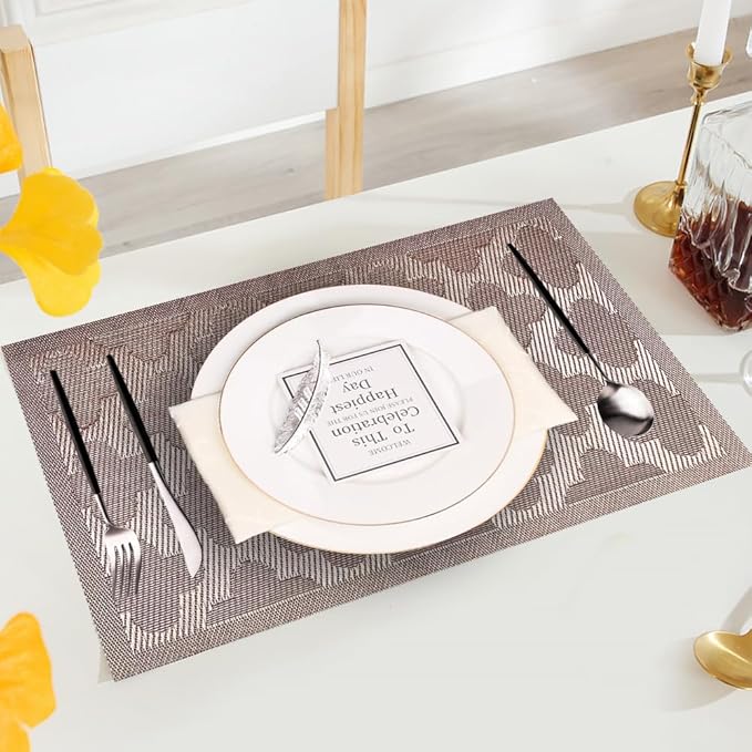 Elegant Placemats Vinyl Woven Heat-Resistant Placemats Set of 6 Washable Easy to Clean Table Mats for Dining Room and Decorate (Champagne)