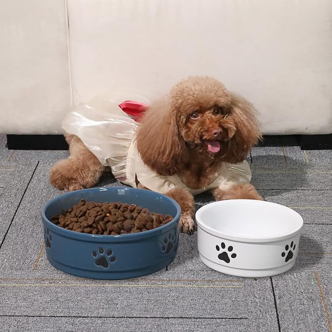 Sweejar Ceramic Dog Bowls with Paw Pattern, Dog Food Dish for Large Dogs, Porcelain Pet Bowl for Water 70 Fl Oz (Fog Blue)