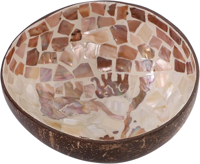Coconut Shell Bowl Natural Handmade Key Storage Bowl Candy Dish Decorative Home Storage Plate for Living Room Tabletop Organizer
