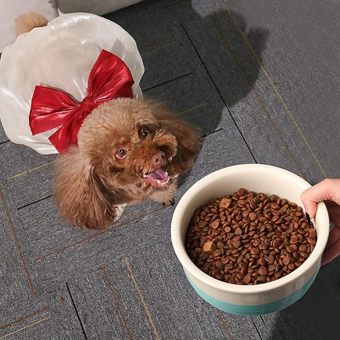 Sweejar Ceramic Dog Bowls, Dog Food Dish for Small Dogs and Cat, Heavy Duty Porcelain Pet Bowl for Canned Food and Water 17 Fl Oz （Gray）