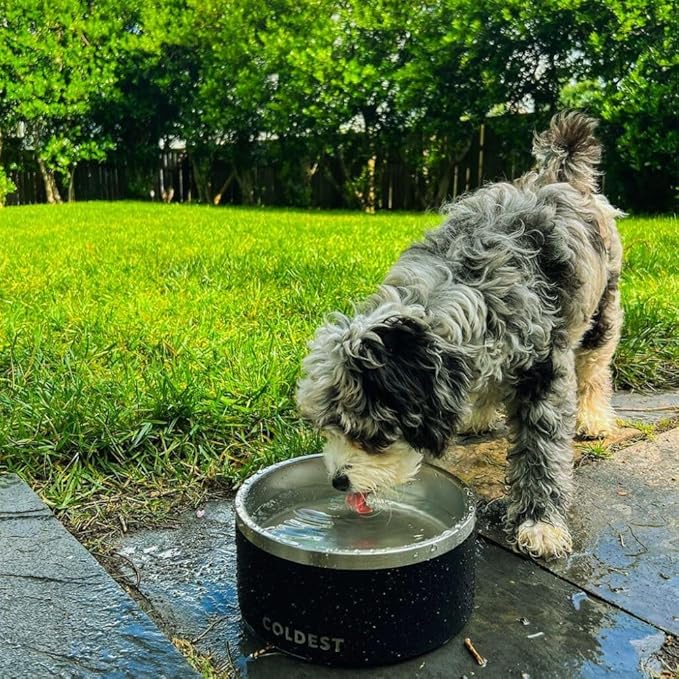 Coldest Dog Bowl - Anti Rust Metal, Non Slip, 3 Layers Insulated Stainless Steel Dog Bowls - Spill Proof & Heavy Duty - Water Bowl for Dogs, Cats, Dish Washer Safe (100 oz,Polished Stainless Steel)
