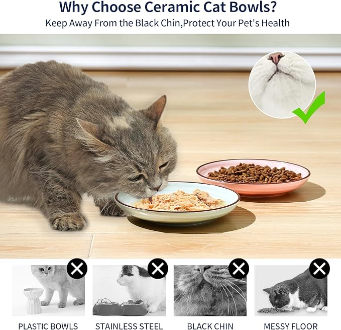 Selamica Ceramic Cat Food Bowl, 6 Inch Cat Bowls Whisker Friendly, Shallow Wide Kitten Plates for Food and Water, Set of 6, Gradient Color