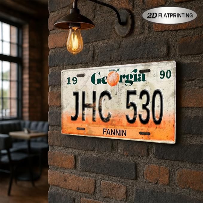 Vintage License Plate Wall Decor Set (Decorative Use Only), 50 US State Metal Signs, 6 x 12 Inch Embossed Retro Plates for Garage Decor, Man Cave Decor
