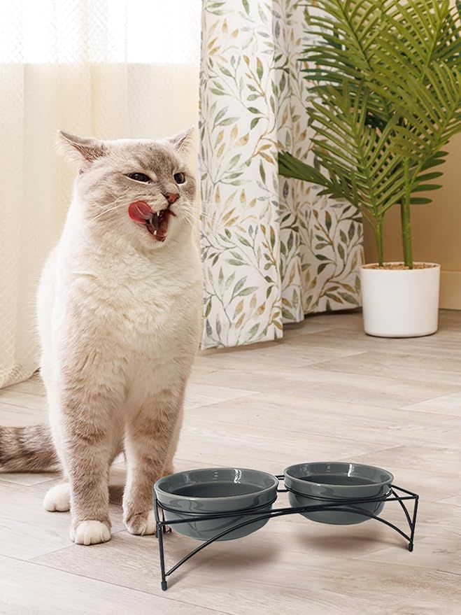 Y YHY Dog & Cat Food Bowls,12 OZ(1.5 Cup) Ceramic Raised Pet Bowls for Food and Water, Two Elevated Pet Dishes Bowls 2.75” Height Sturdy Metal Stand, Grey