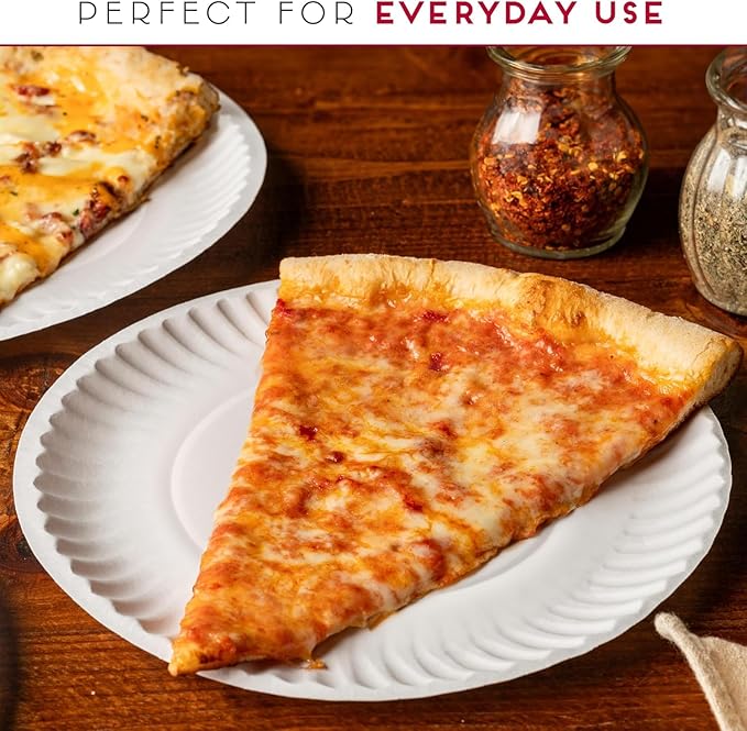9-Inch Disposable Paper Plates - 1000 Count - Bulk Pack of Uncoated Paper Plates for Everyday Use - Dinnerware for Meals, Parties And Picnics
