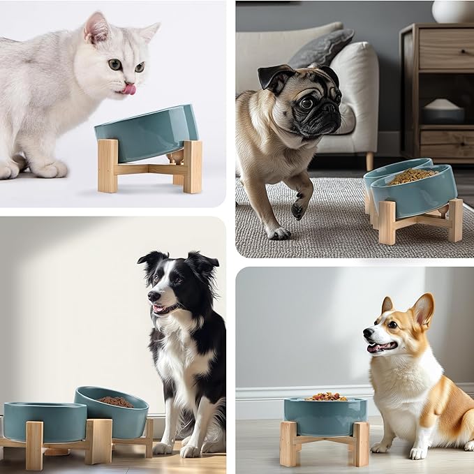 SPUNKYJUNKY 15° Slanted Ceramic Dog and Cat Bowl with Wooden Stand, Tilted Bulldog Food and Water Bowl No Slip Non-Spill for Cats Medium Dogs Big Face Pets 28.7 OZ (3.6 Cups, Light Green × 2)
