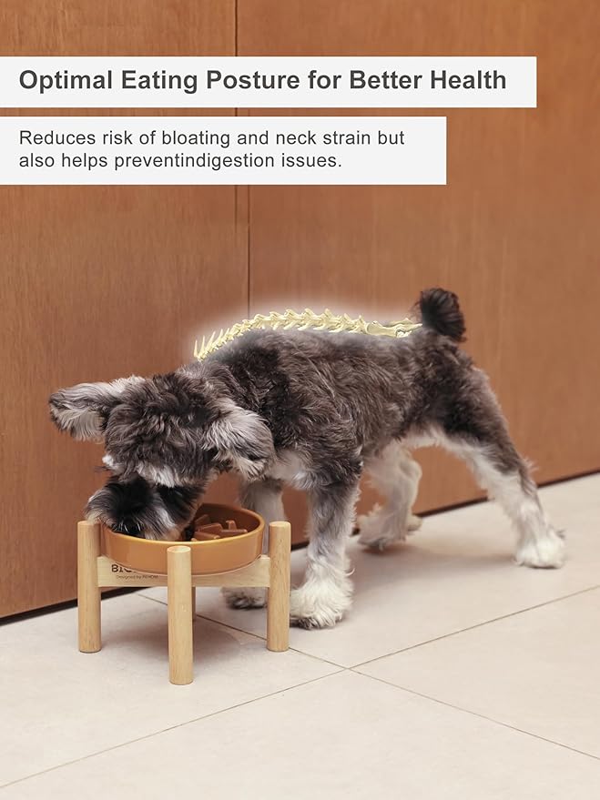 Ceramic Maze Dog Slow Feeder with Non-Slip Silicone Rim (& Bamboo Stand) – Heavy-Duty Stoneware Bowl with Puzzle Pattern for Bloating & Obesity Prevention (Raised-Orange-S)