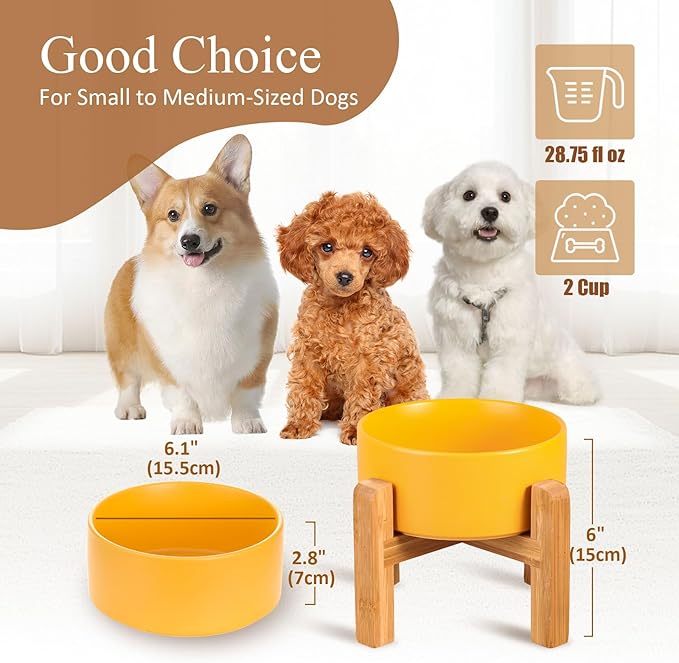 Ceramic Elevated Raised Cat Bowl with Wood Stand No Spill Pet Food Water Feeder Cats Small Dogs