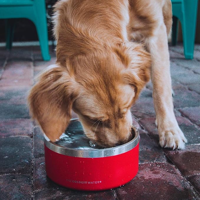 Coldest Dog Bowl - Anti Rust Metal, Non Slip, 3 Layers Insulated Stainless Steel Dog Bowls - Spill Proof & Heavy Duty - Water Bowl for Dogs, Cats & Pets, Dish Washer Safe (100 oz, Cotton Candy Pink)