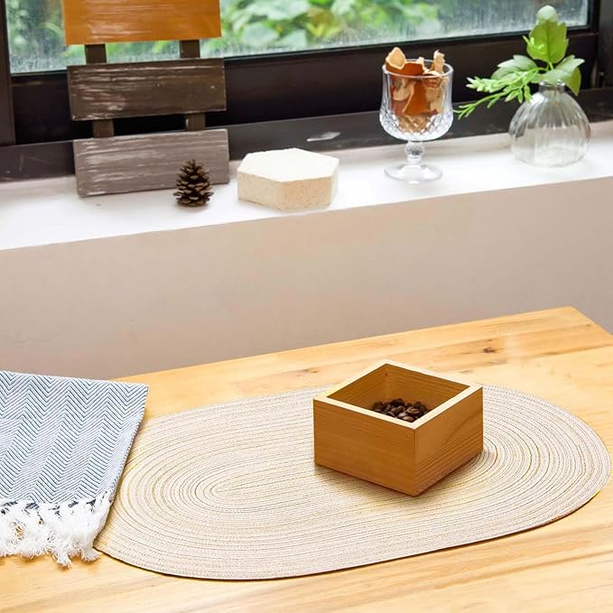 Noctiflorous Oval Braided Placemats Set of 4 Woven 12x18 Inch Non Slip Washable Heat Resistant Place Mats Round Tablemats for Dining Kitchen Party Daily Table Decor Dinner Mats (Beige, 4)