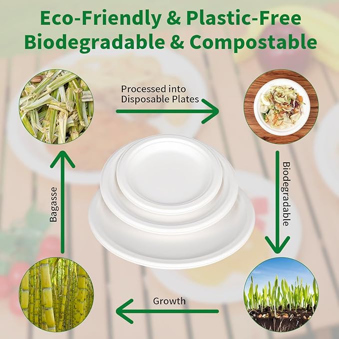 Aricsen 100 Pack 10 Inch Compostable Disposable Round Paper Plates, Natural White Biodegradable Sugarcane Bagasse PFAS-Free Eco-Friendly Dinner Plates for Party Wedding Picnic BBQ (100, 10 INCH)
