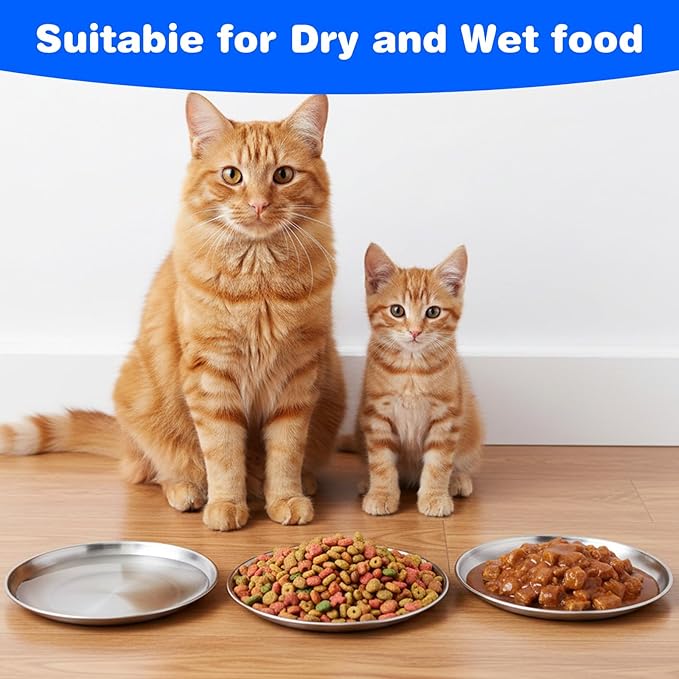 4Pcs Stainless Steel Cat Dishes for Food and Water, Flat Wide Shallow Cat Bowl, 5.51in Cats Food Plate for Kitten Puppy Small Dog Feeding