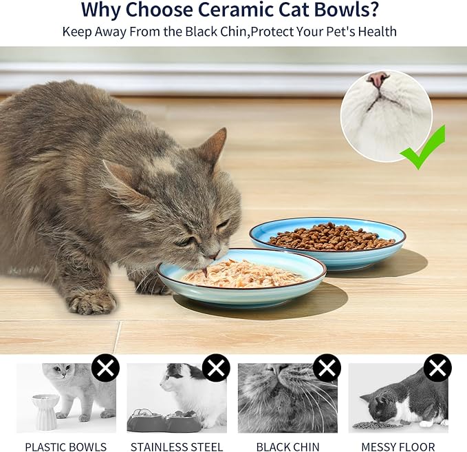 Selamica Ceramic Cat Bowls, 6 Inch Cat Food Bowl Whisker Friendly, Shallow Wide Kitten Plates for Food and Water, Set of 4, Gradient Blue