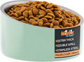 Master Pet Supply Stainless Steel Slanted Dog Cat Food Bowl - 16 oz Heavy Duty - Pistachio, Double Wall Insulated, Non-Slip Elevated Bowl for French Bulldogs Pugs Cats, Anti Rust Dishwasher Safe