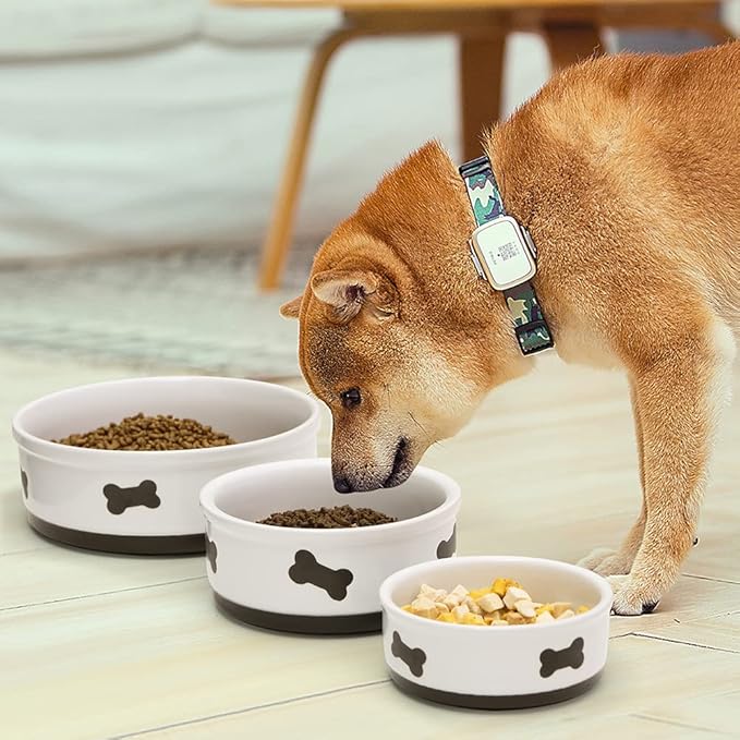 Sweejar Ceramic Dog Bowls with Bone Pattern, Dog Food Dish for Medium Dogs, Porcelain Pet Bowl for Water 35 Fl Oz (Fog Blue)