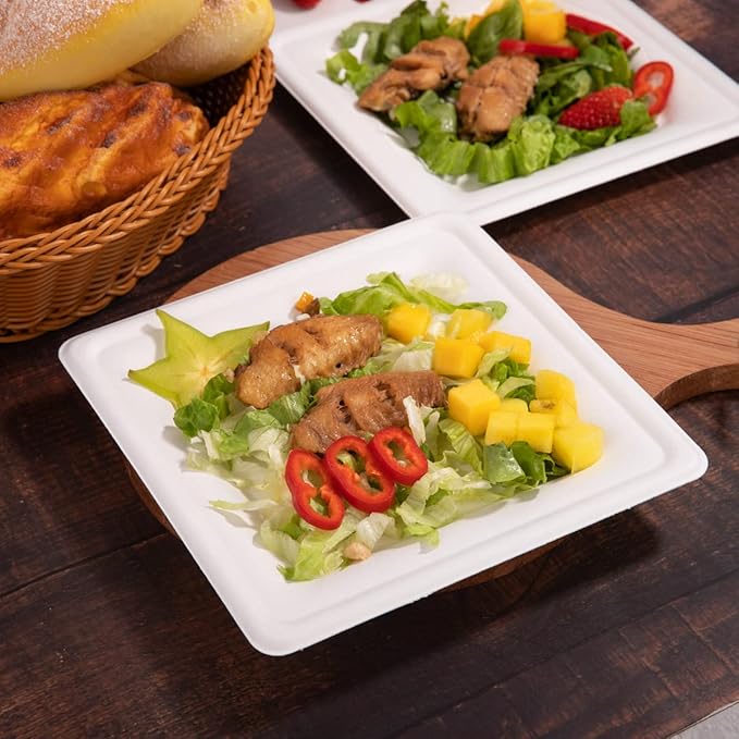 SUT 8-Inch Biodegradable Bagasse Plates, 100 PCS Heavy-Duty Microwaveable, Eco-Friendly Natural Disposable, Made of Sugarcane Fibers, for Party, Picnic