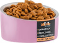 Master Pet Supply Stainless Steel Slanted Dog Cat Food Bowl - 8 oz Heavy Duty - Hyper Pink, Double Wall Insulated, Non-Slip Elevated Bowl for French Bulldogs Pugs Cats, Anti Rust Dishwasher Safe