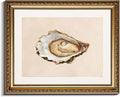 InSimSea Gold Framed Wall Art, Vintage Oyster Shell Sketch Kitchen Wall Decor, Still Life Canvas Print Art, Dining Room Farmhouse Decor, Antique Paintings with Picture Frame 13x16inch