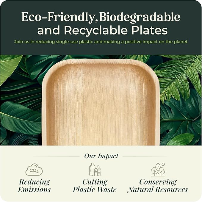 Palm Leaf Plates Bamboo Paper Disposable 4 Inch 200 Bulk Appetizer and Dessert Square Plate Party Pack Eco Biodegradable Compostable Wooden Better Than Plastic Plates By KoalaLove